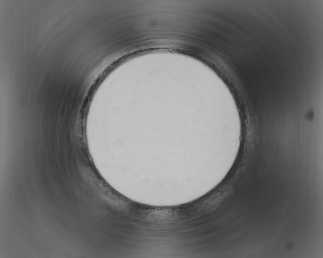 X0000115850883200912242035