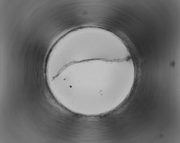 X0000115850884200912242035