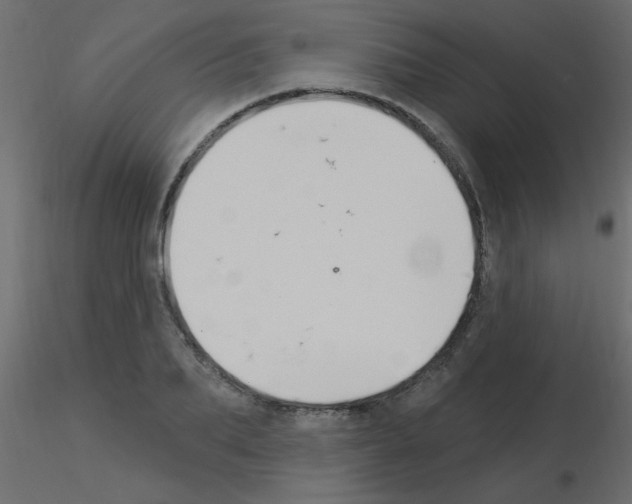 X0000115850887200912242035