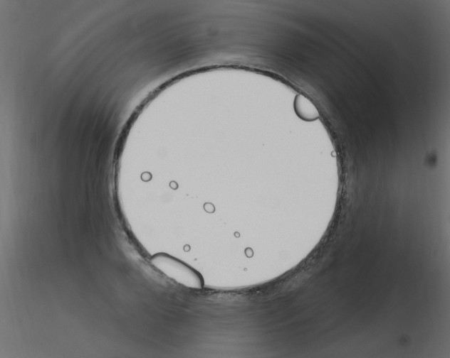 X0000115850888200912242035