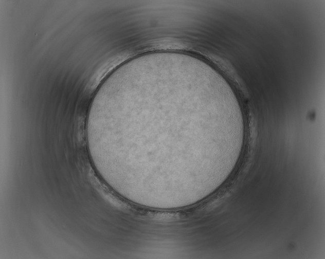 X0000115850889200912242035