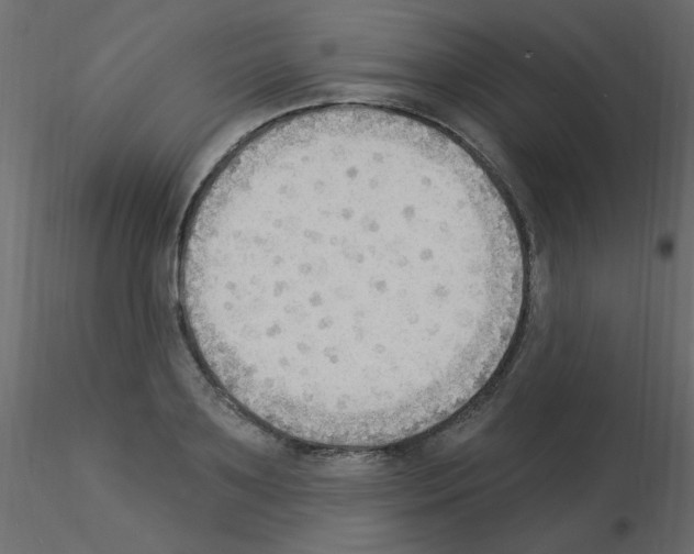 X0000115850891200912242035