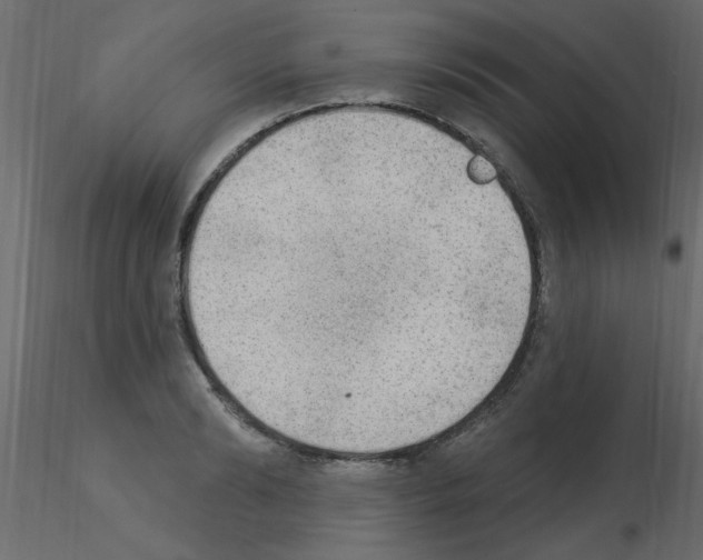 X0000115850894200912242035