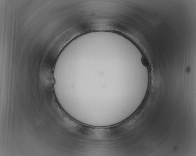 X0000115850897200912242035