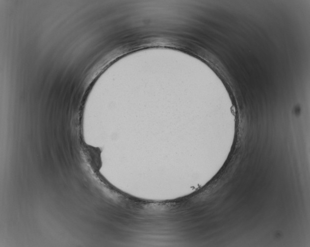X0000115850898200912242035