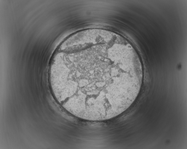X0000115850899200912242035