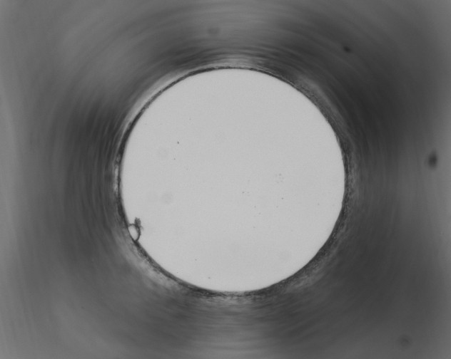 X0000115850900200912242035