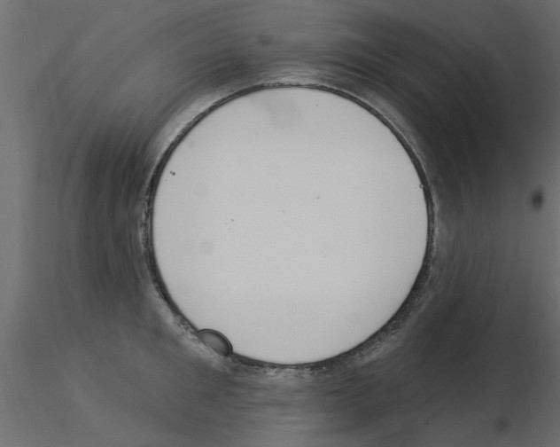 X0000115850901200912242035