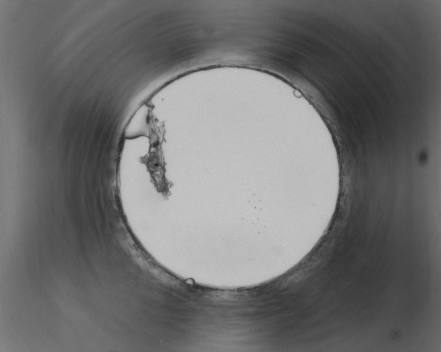 X0000115850904200912242035