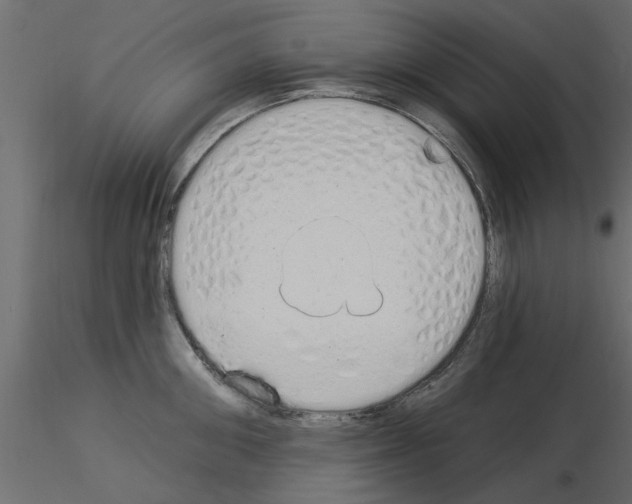 X0000115850906200912242035
