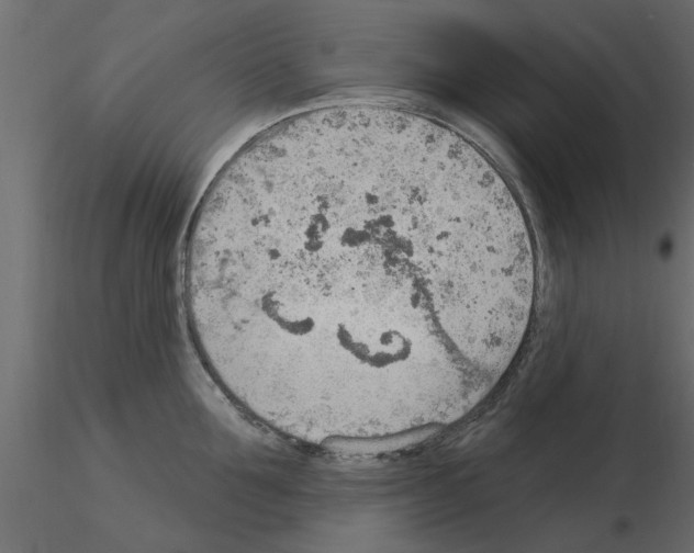 X0000115850907200912242035