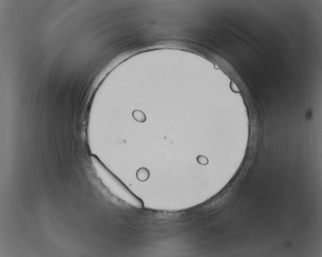 X0000115850908200912242035