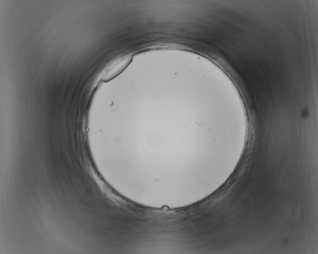 X0000115850909200912242035