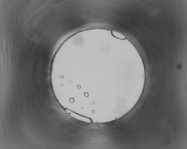 X0000115850912200912242035