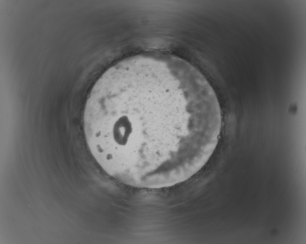 X0000115850913200912242034
