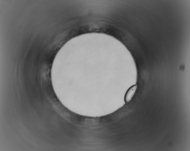 X0000115850914200912242034