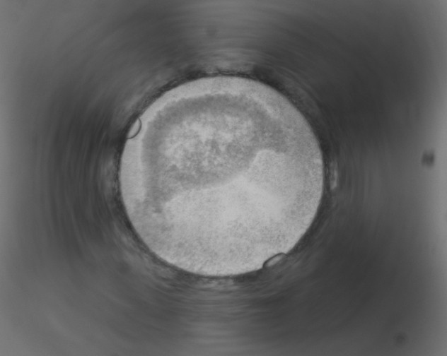 X0000115850915200912242034