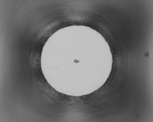 X0000115850918200912242034