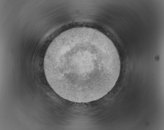 X0000115850919200912242034