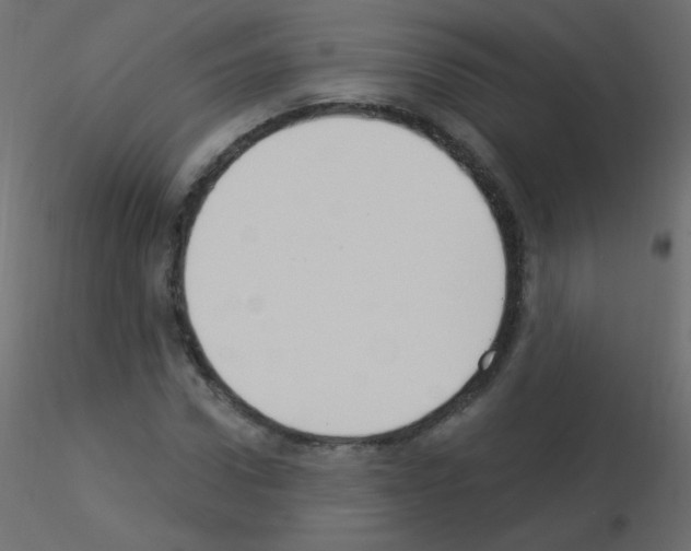 X0000115850922200912242034