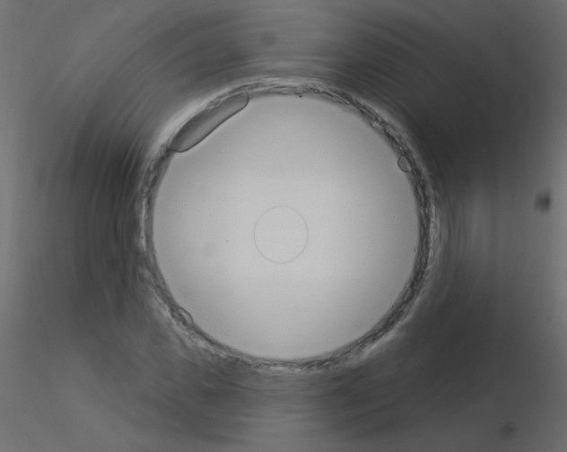X0000115850925200912242034