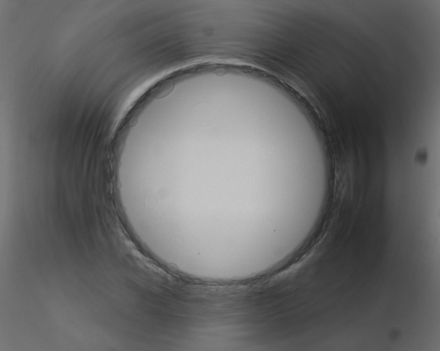 X0000115850926200912242034