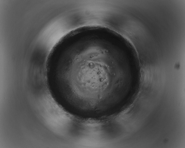 X0000115850927200912242034