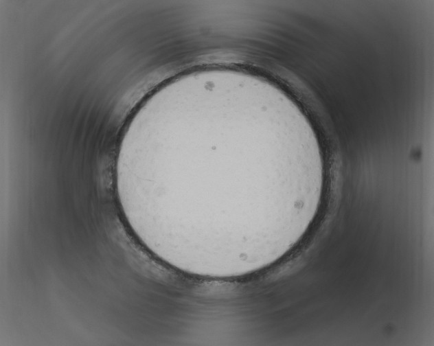 X0000115850929200912242034