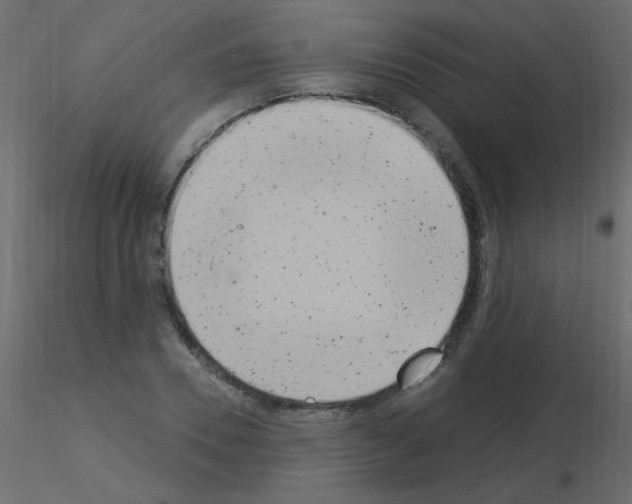 X0000115850930200912242034