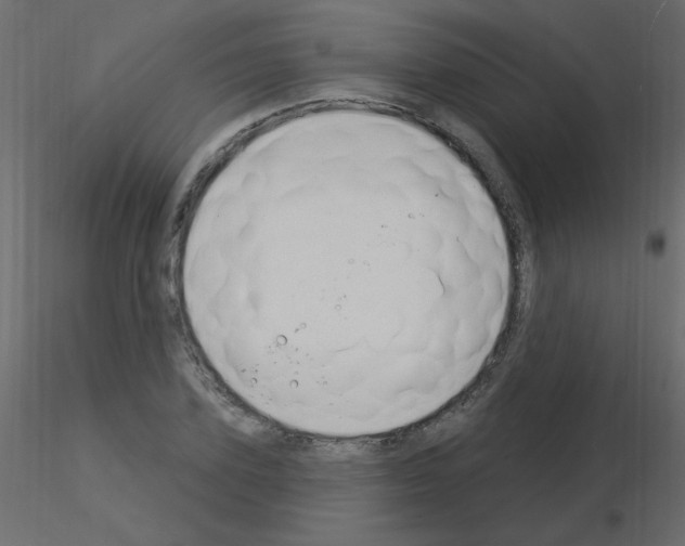 X0000115850931200912242034