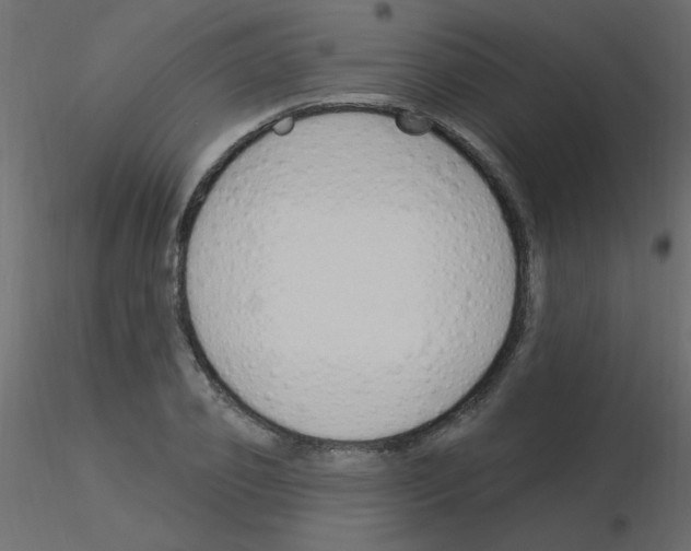X0000115850933200912242034