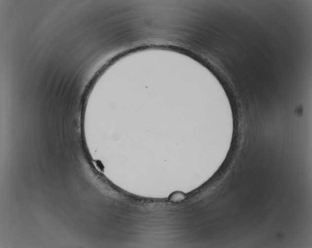 X0000115850934200912242035