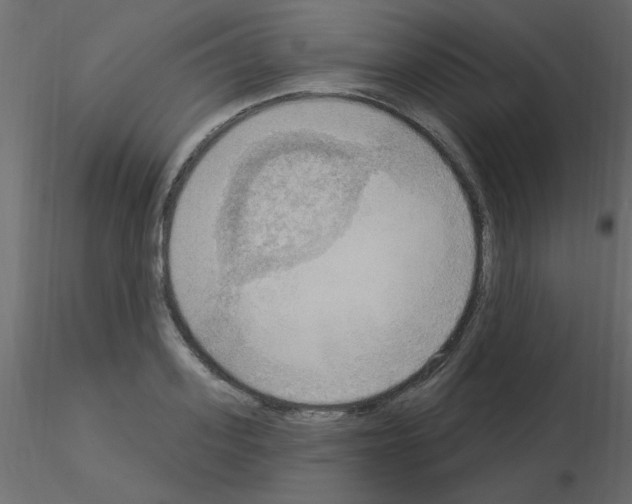 X0000115850939200912242035