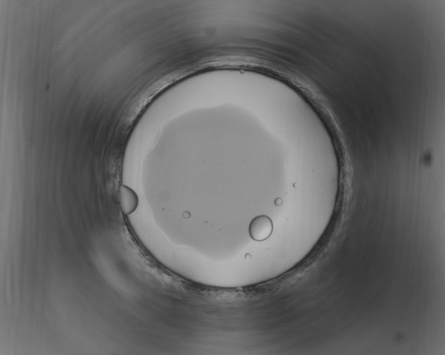 X0000115850945200912242035