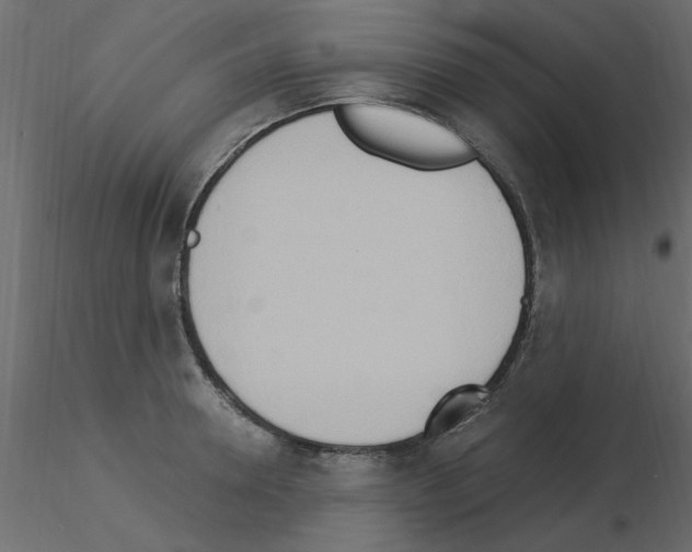 X0000115850946200912242035