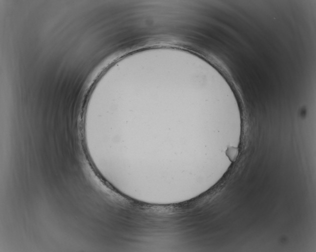 X0000115850947200912242035