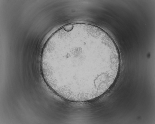 X0000115850949200912242035