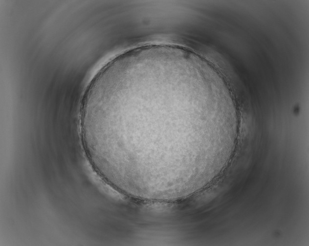 X0000115850950200912242035