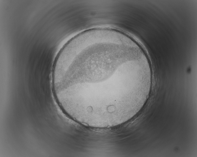 X0000115850951200912242035