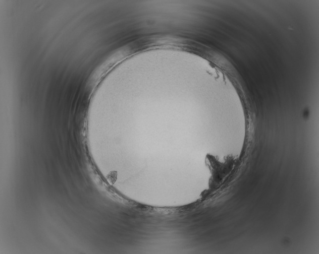 X0000115850954200912242035