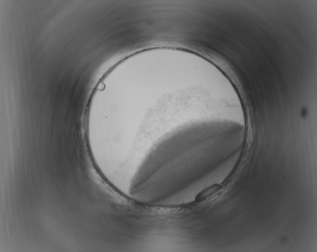 X0000115850958200912242035