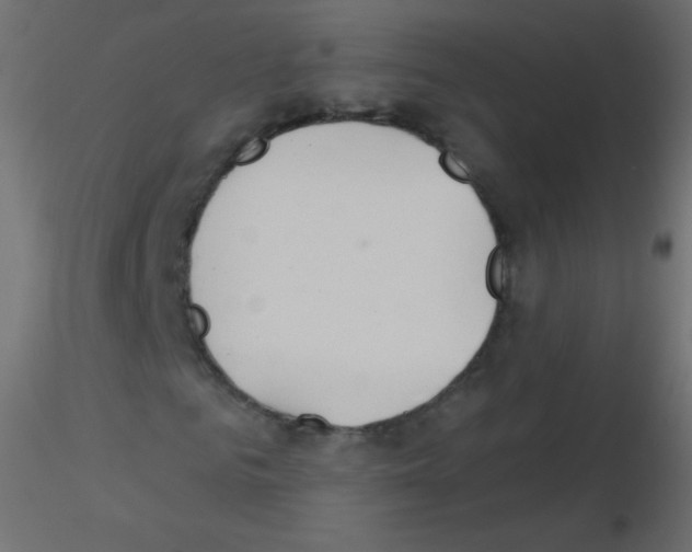 X0000115850961200912242034