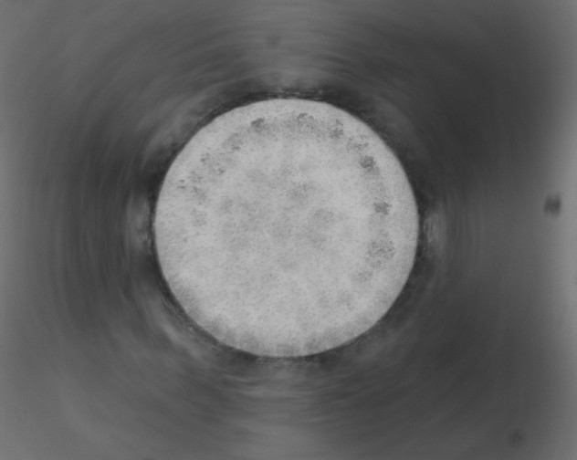 X0000115850963200912242034