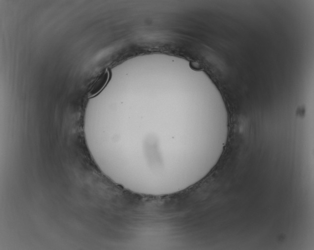 X0000115850965200912242034