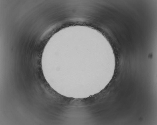 X0000115850967200912242034