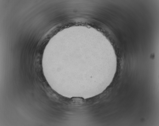 X0000115850968200912242034