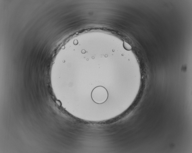 X0000115850969200912242034