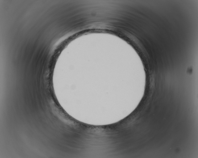 X0000115850971200912242034