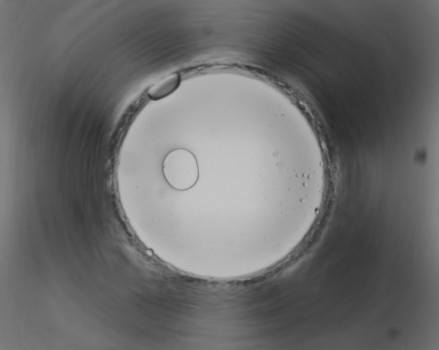 X0000115850973200912242034