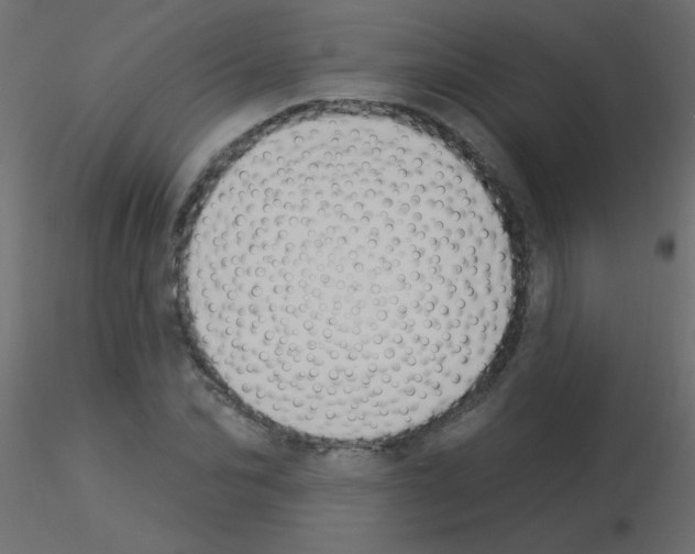 X0000115850974200912242034